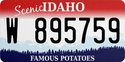 ID license plate W895759