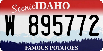 ID license plate W895772