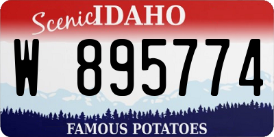 ID license plate W895774