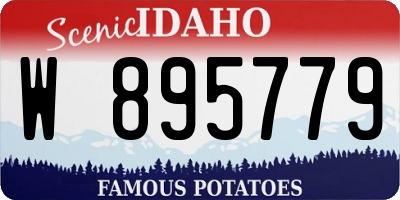 ID license plate W895779