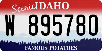 ID license plate W895780
