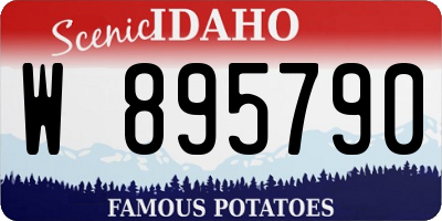 ID license plate W895790