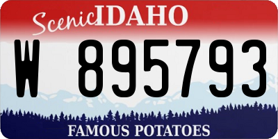 ID license plate W895793