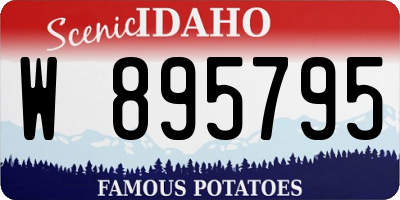 ID license plate W895795