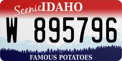 ID license plate W895796