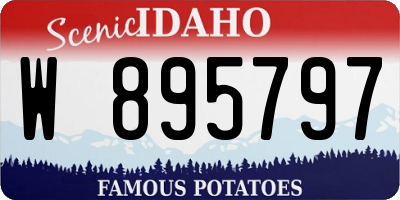 ID license plate W895797