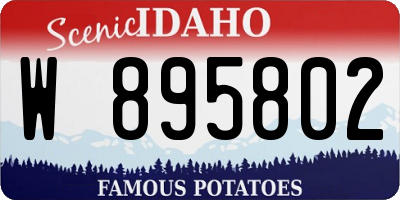 ID license plate W895802