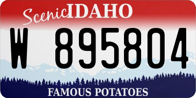ID license plate W895804