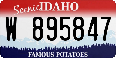 ID license plate W895847