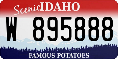 ID license plate W895888
