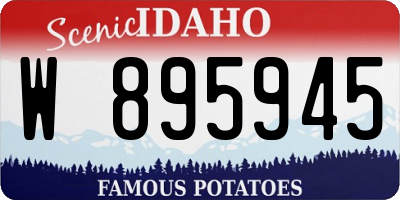 ID license plate W895945