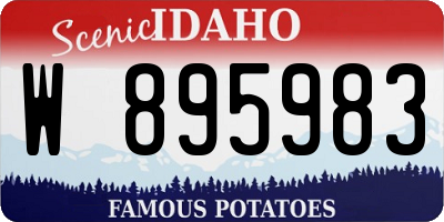 ID license plate W895983