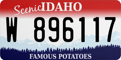 ID license plate W896117