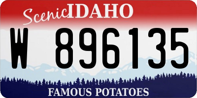 ID license plate W896135