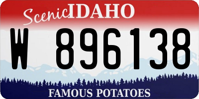 ID license plate W896138