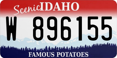 ID license plate W896155