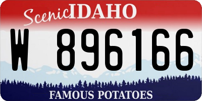 ID license plate W896166