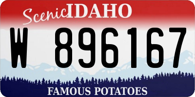 ID license plate W896167