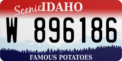 ID license plate W896186