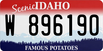 ID license plate W896190
