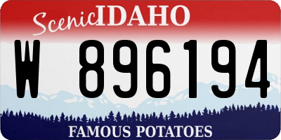 ID license plate W896194