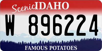 ID license plate W896224