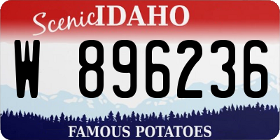 ID license plate W896236
