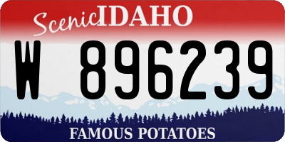 ID license plate W896239
