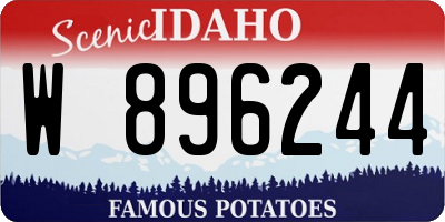 ID license plate W896244
