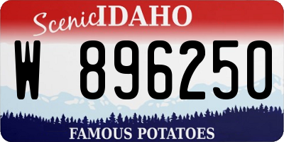 ID license plate W896250