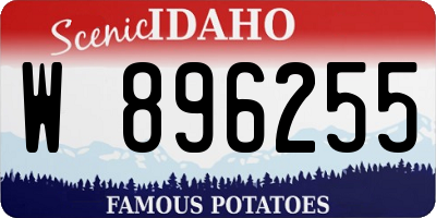 ID license plate W896255