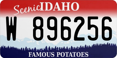 ID license plate W896256