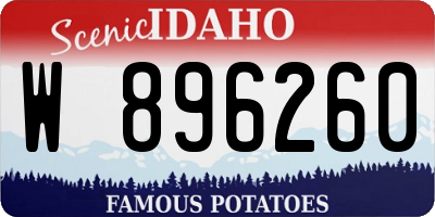 ID license plate W896260