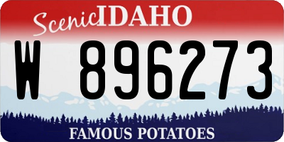 ID license plate W896273