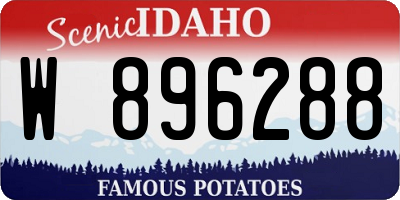 ID license plate W896288