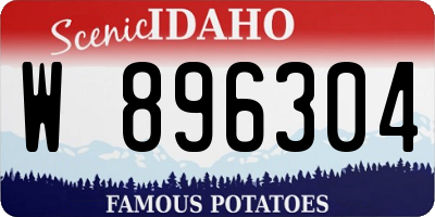 ID license plate W896304