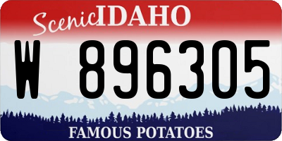 ID license plate W896305