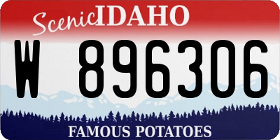 ID license plate W896306