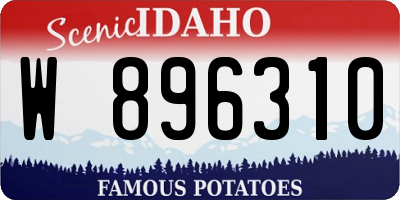 ID license plate W896310