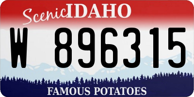 ID license plate W896315