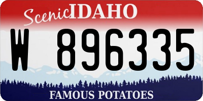 ID license plate W896335