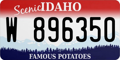 ID license plate W896350