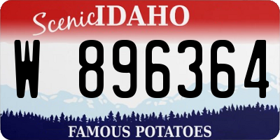 ID license plate W896364