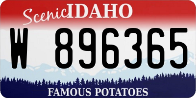 ID license plate W896365
