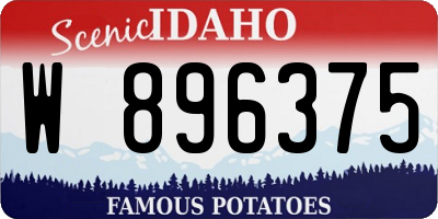 ID license plate W896375