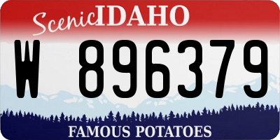 ID license plate W896379