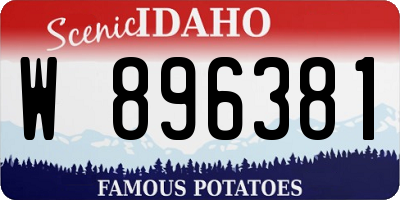 ID license plate W896381
