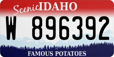 ID license plate W896392
