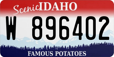 ID license plate W896402