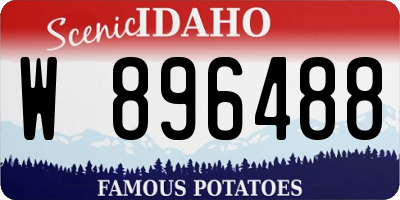 ID license plate W896488